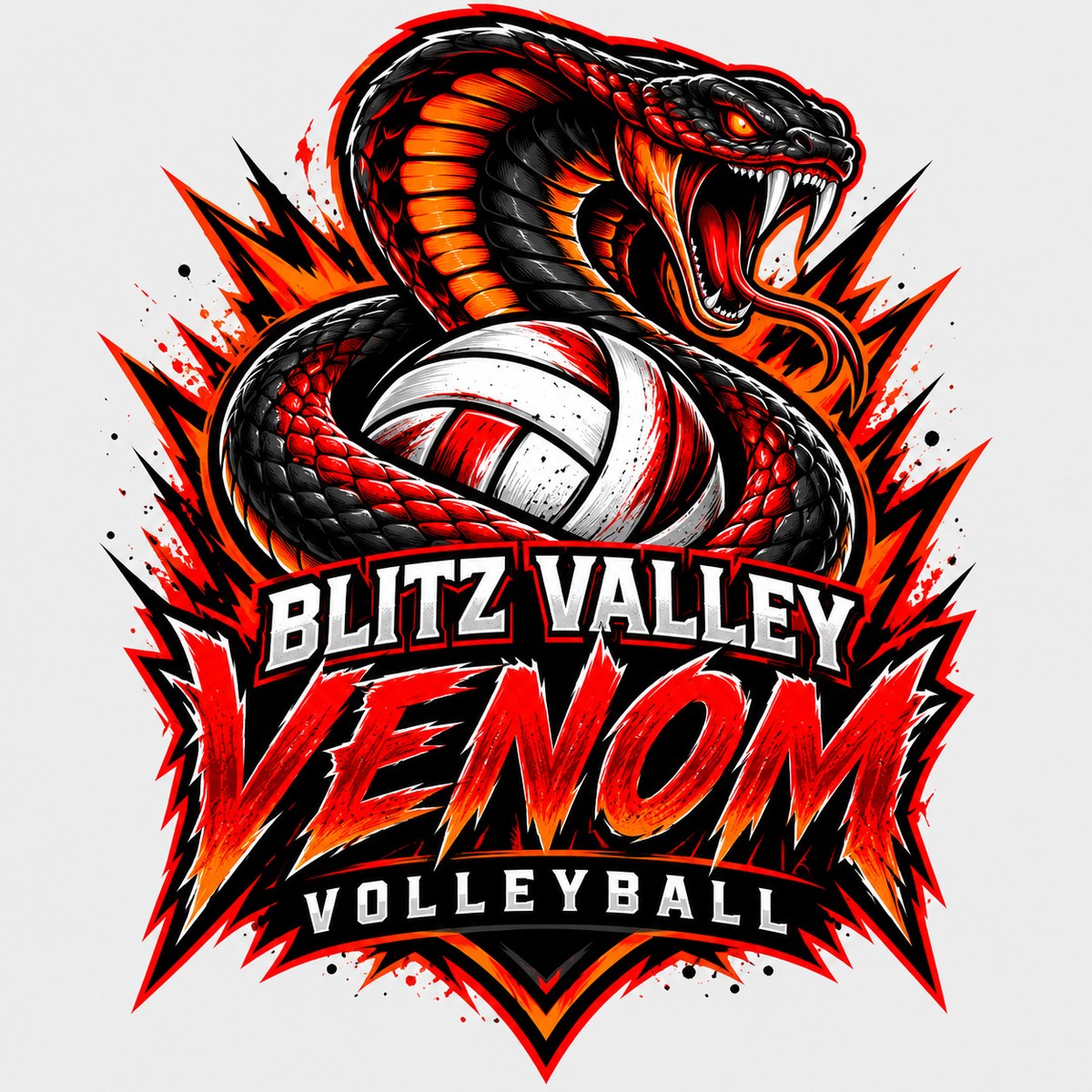 Blitz Valley Venom volleyball concept logo by MiPro Custom Tees